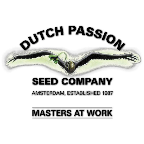 Dutch Passion