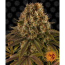 Barneys Farm - Strawberry Lemonade Hanfsamen - 5 Stk...