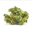 Bulk Seed Bank - Banana Monkey Hanfsamen - feminisiert