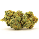 Bulk Seed Bank - Auto Banana Monkey Hanfsamen - 5 Stk...