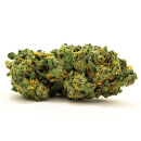 Bulk Seed Bank - Auto Grande Crack Hanfsamen -...