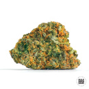 Bulk Seed Bank - Guerilla Glue Hanfsamen - feminisiert