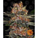 Barneys Farm - Purple Punch Hanfsamen - 5 Stk...