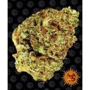 Barneys Farm - Watermelon Zkittlez Hanfsamen -...