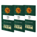 Barney´s Farm GMO Seeds 5er Packung