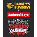 Barneys Farm - Black Cherry Gushers Hanfsamen - feminisiert