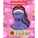 Barneys Farm - Bubblegum Gelato Hanfsamen - feminisiert