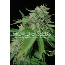 WOS Brazil Amazonia Seeds Pure Origin Collection Seeds 12er