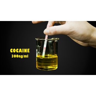 Urinteststreifen Kokain standard 300ng/ml - CleanU