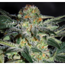 WOS High Tension Seeds Diamond Collection