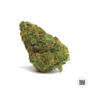 Bulk Seed Bank - Auto Amnesia Platinum Hanfsamen -...