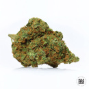 Bulk Seed Bank - Amnesia Platinum Hanfsamen - feminisiert