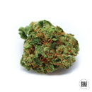 Bulk Seed Bank - Bigger Bud Hanfsamen - feminisiert