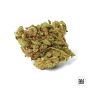 Bulk Seed Bank - Blueberry Berry Hanfsamen - feminisiert