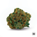 Bulk Seed Bank - Grapefruit Hanfsamen - feminisiert