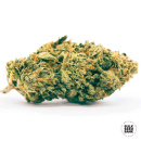 Bulk Seed Bank - K2 Hanfsamen - feminisiert