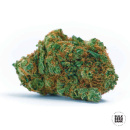 Bulk Seed Bank - Kalis Mistery Hanfsamen - feminisiert