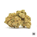 Bulk Seed Bank - Psychedelic Hanfsamen - feminisiert