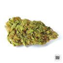 Bulk Seed Bank - Marleys Bud Hanfsamen - feminisiert