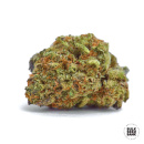 Bulk Seed Bank - Mazar Extra Hanfsamen - feminisiert