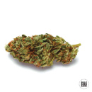 Bulk Seed Bank - News Haze Hanfsamen - feminisiert