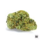 Bulk Seed Bank - Northern Light Hanfsamen - 5 Stk...