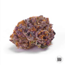 Bulk Seed Bank - Purple Glam Kush 5er Packung feminisiert