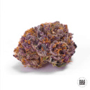 Bulk Seed Bank - Purple Glam Kush Hanfsamen - 5 Stk...