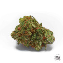 Bulk Seed Bank - Sour Diesel Hanfsamen - feminisiert