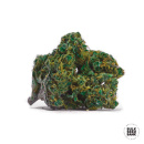 Bulk Seed Bank - Special Lime Haze Hanfsamen - 10 Stk...