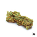 Bulk Seed Bank - Special Crystal Haze Hanfsamen -...