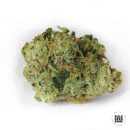 Bulk Seed Bank - White Prussian Hanfsamen - feminisiert