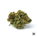 Bulk Seed Bank - Auto Blueberry Berry Hanfsamen -...