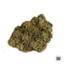 Bulk Seed Bank - Auto East Ryder Hanfsamen -...