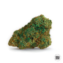 Bulk Seed Bank - Auto Lavender Best Hanfsamen -...