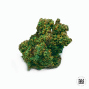 Bulk Seed Bank - Auto Lime Skunk Hanfsamen -...