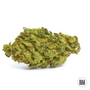 Bulk Seed Bank - Auto Northern Light Hanfsamen - 10 Stk...