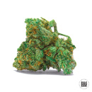 Bulk Seed Bank - Auto NBA Diesel Hanfsamen -...