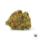 Bulk Seed Bank - Auto Perfect Power Plant Hanfsamen -...