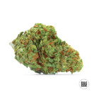 Bulk Seed Bank - Auto Sour Diesel Hanfsamen -...