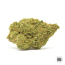 Bulk Seed Bank - Auto White Widow Hanfsamen - 5 Stk...
