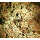 Paradise Seeds - Atomical Haze Hanfsamen - feminisiert