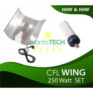 CFL Wing Set - 250 Watt - Bl&uuml;te
