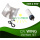 CFL Wing Set - 250 Watt - Bl&uuml;te