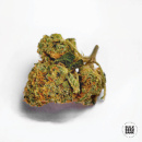 Bulk Seed Bank - Green Candy Hanfsamen - feminisiert